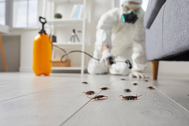 Commercial Kitchen Cockroach Control in West Blocton